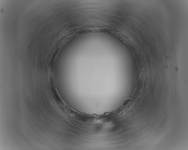 X0000072940647200607210908