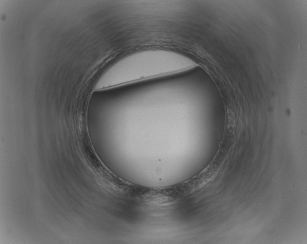 X0000072940648200607210908