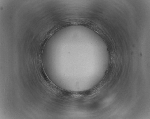 X0000072940650200607210908