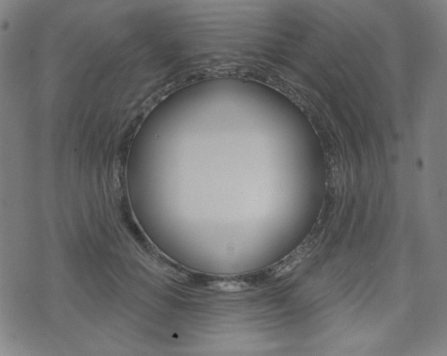 X0000072940654200607210908