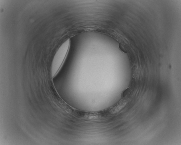 X0000072940655200607210908