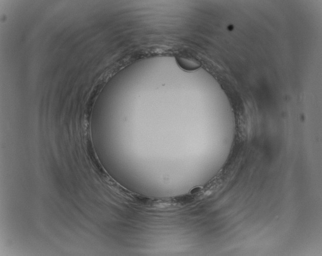 X0000072940657200607210908