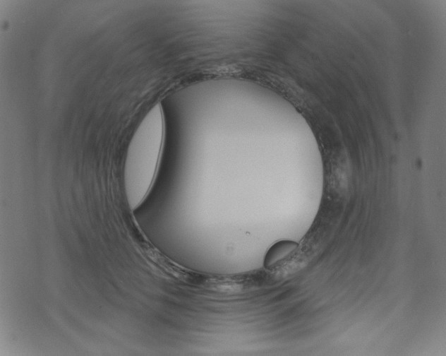 X0000072940658200607210908