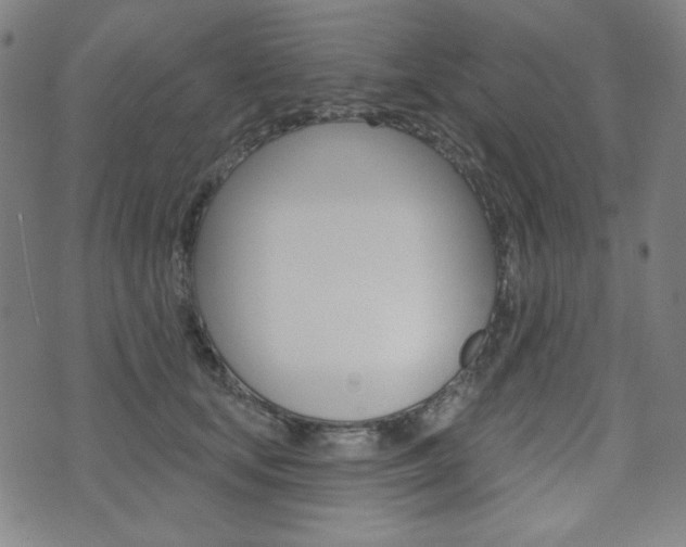 X0000072940659200607210908