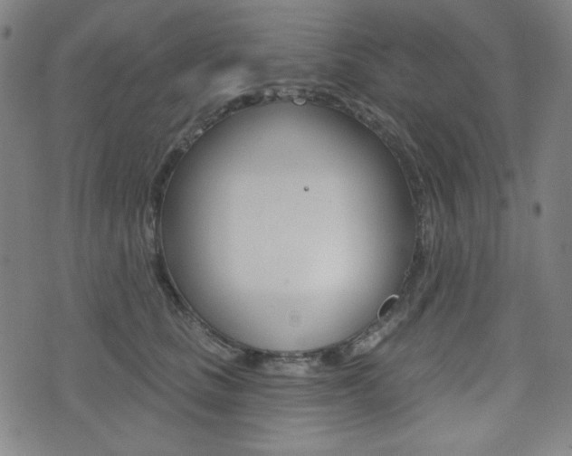 X0000072940661200607210908