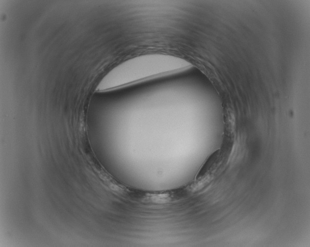 X0000072940665200607210908