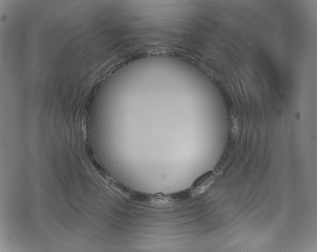 X0000072940666200607210908