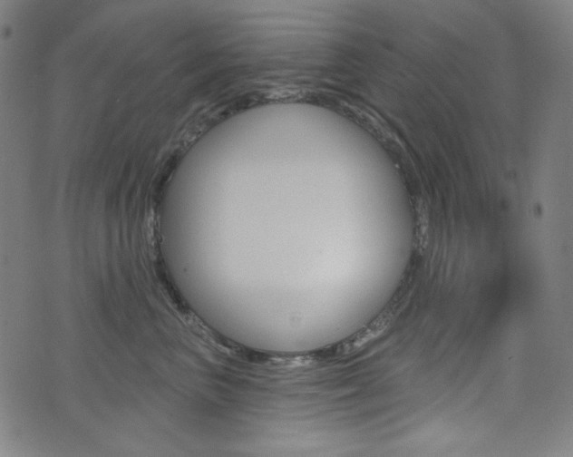 X0000072940667200607210908