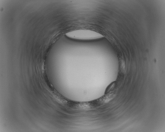 X0000072940668200607210908