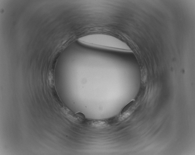 X0000072940669200607210909