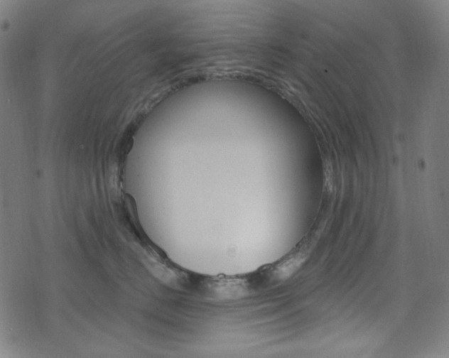 X0000072940670200607210909