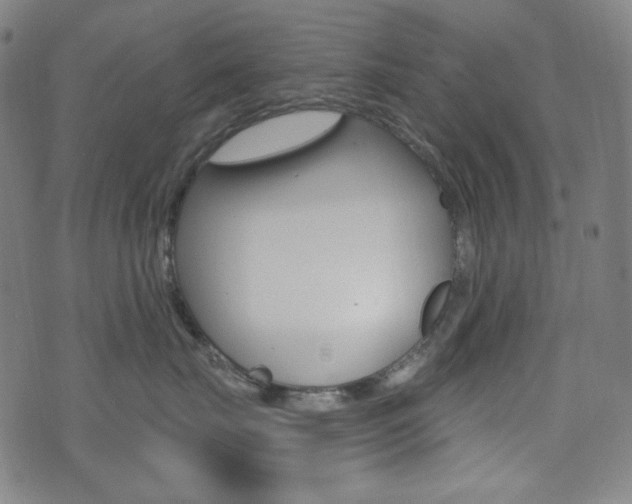 X0000072940671200607210909