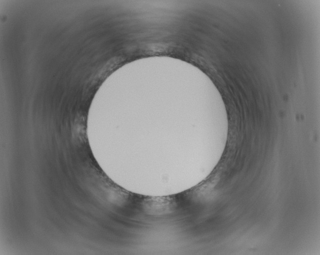 X0000072940672200607210909