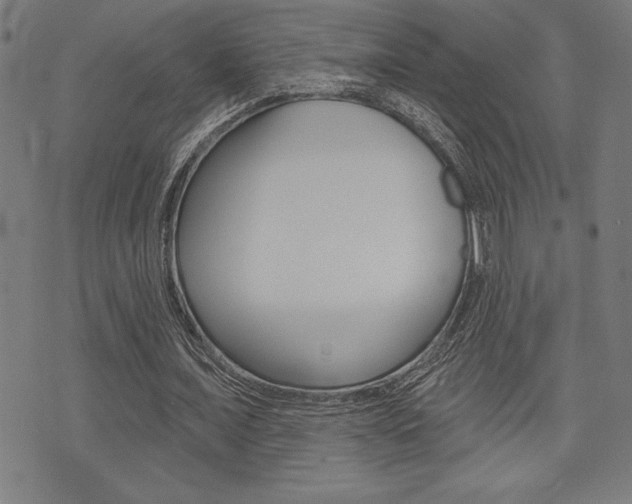 X0000072940675200607210908