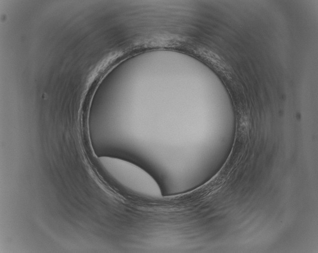 X0000072940678200607210908