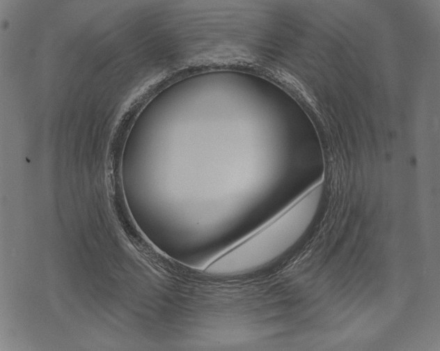 X0000072940680200607210908