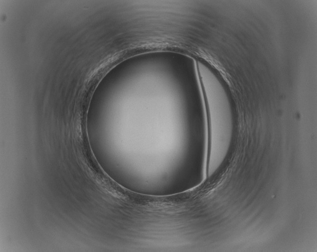 X0000072940681200607210908