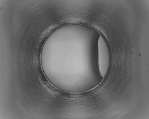 X0000072940682200607210908