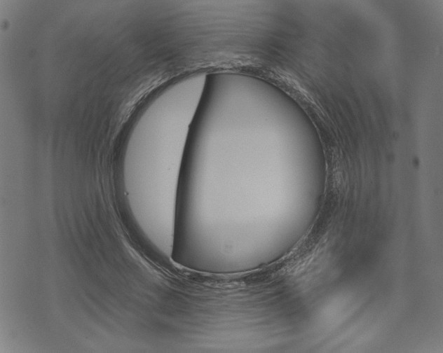 X0000072940683200607210908