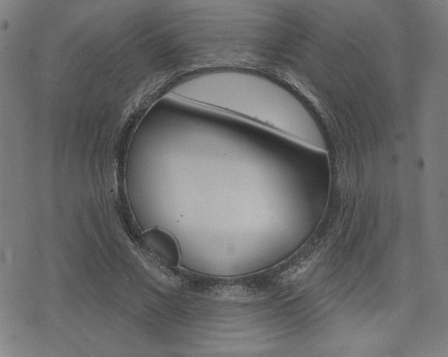 X0000072940685200607210908