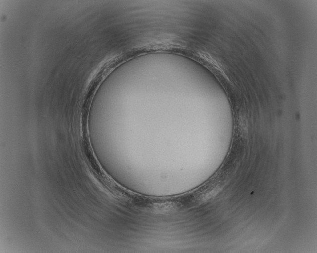 X0000072940686200607210908