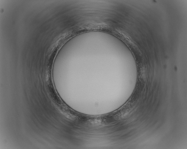 X0000072940687200607210908