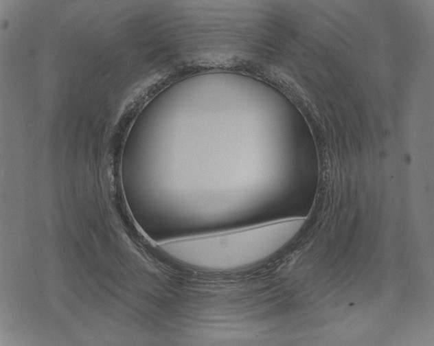 X0000072940688200607210908