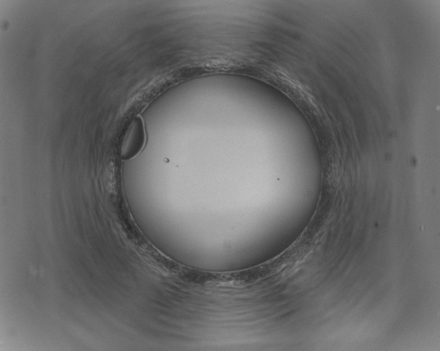 X0000072940689200607210908