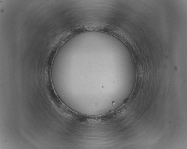 X0000072940690200607210908