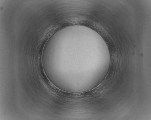 X0000072940694200607210907