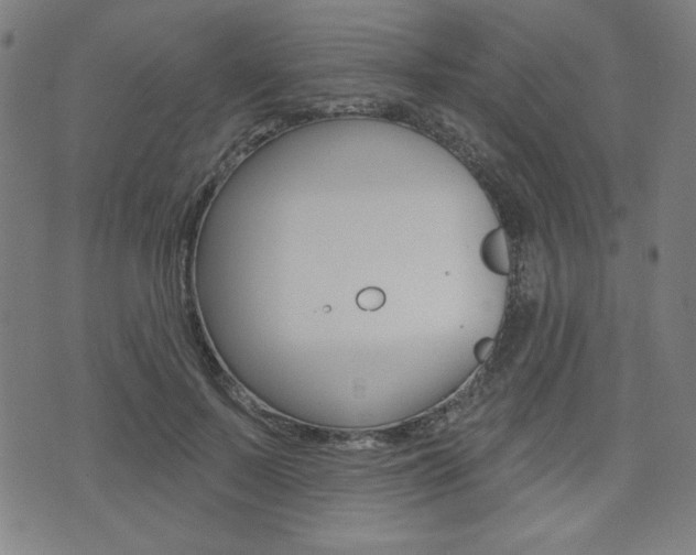 X0000072940695200607210907