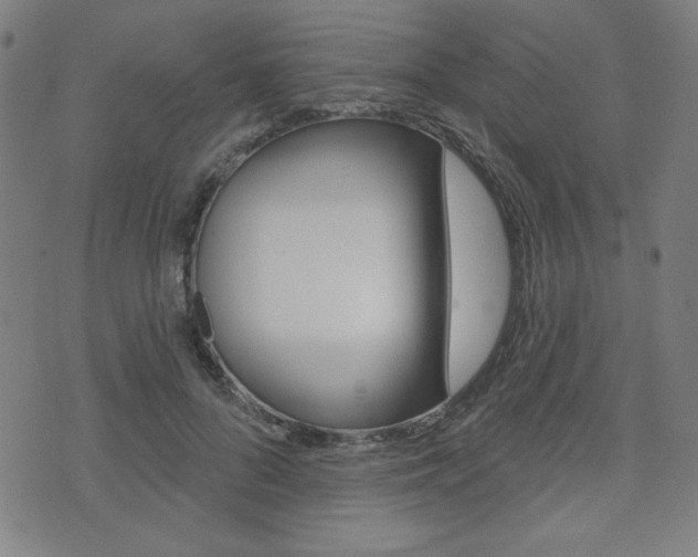 X0000072940696200607210907