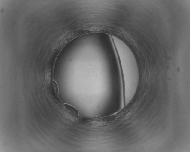 X0000072940697200607210907