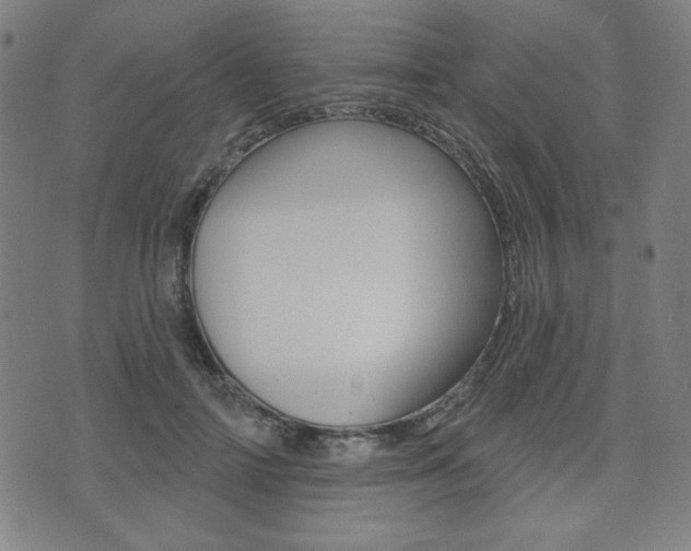 X0000072940698200607210907