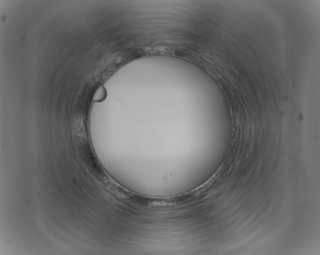 X0000072940699200607210907