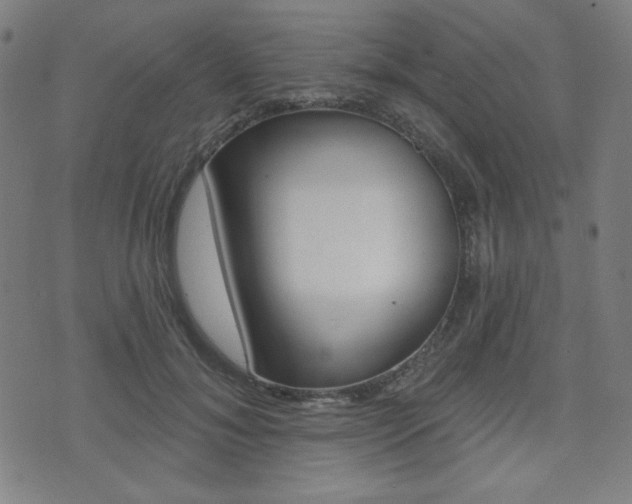 X0000072940700200607210907