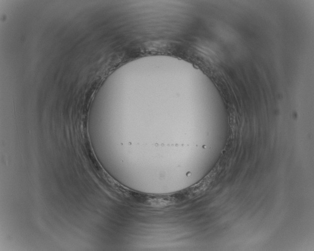 X0000072940703200607210907