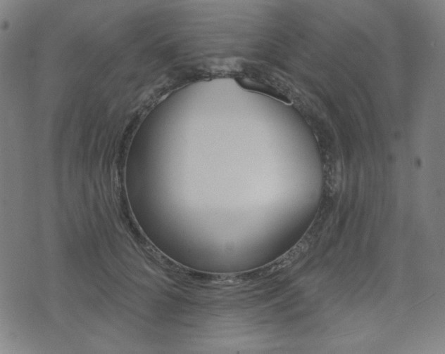 X0000072940704200607210907