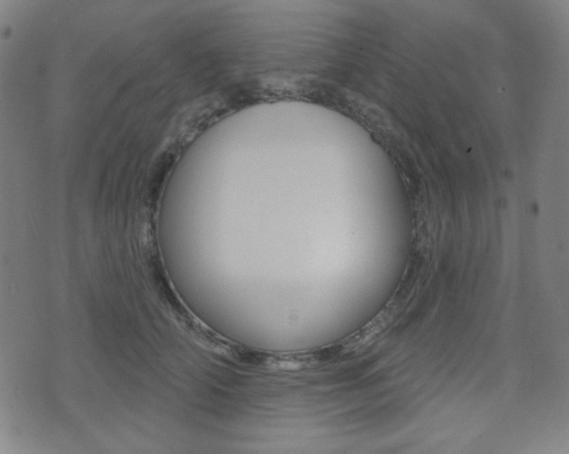 X0000072940706200607210907