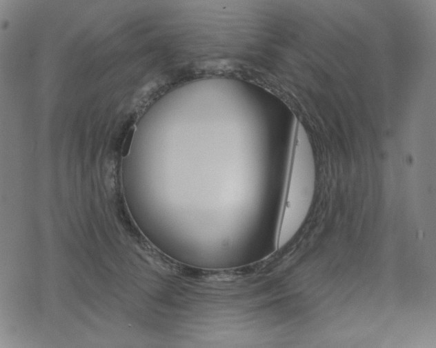 X0000072940708200607210907