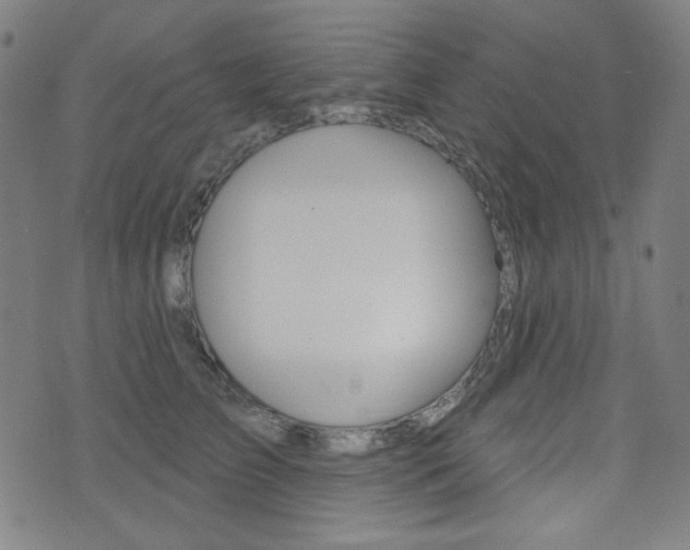 X0000072940709200607210907