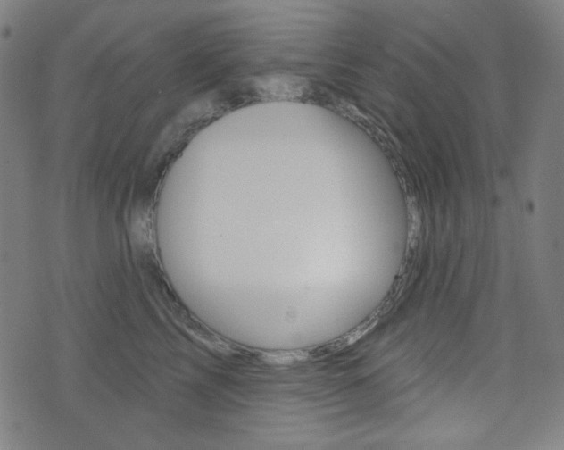 X0000072940713200607210907