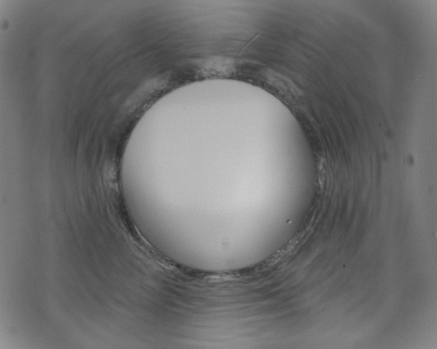 X0000072940714200607210907