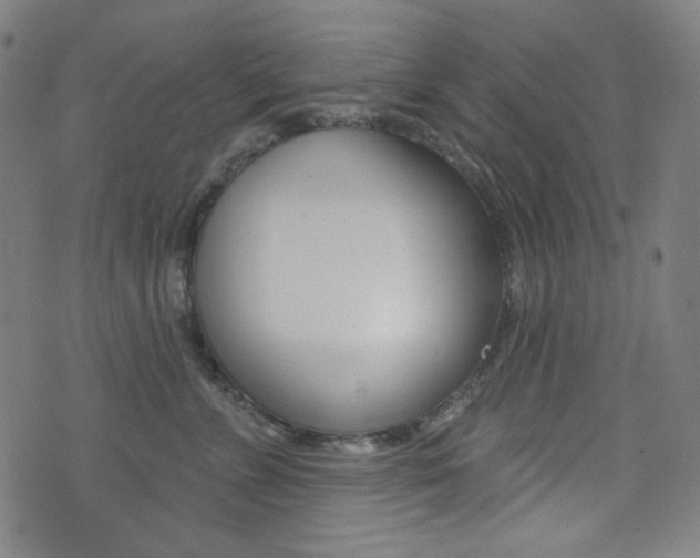 X0000072940715200607210907