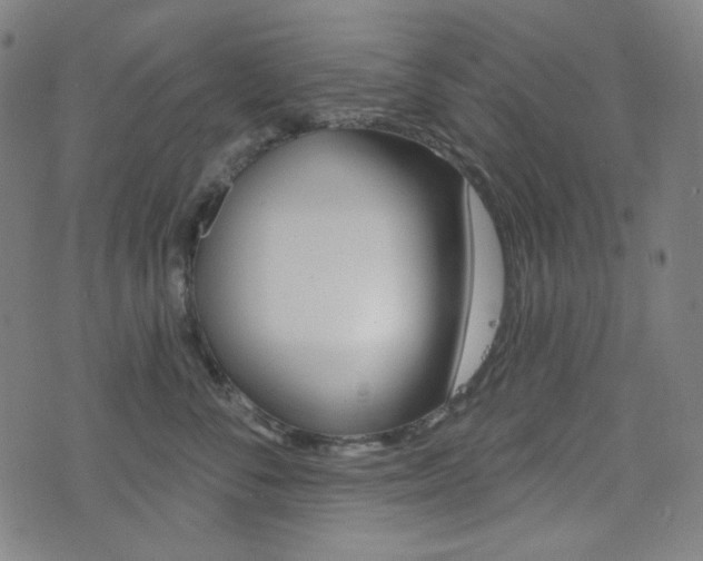 X0000072940716200607210907