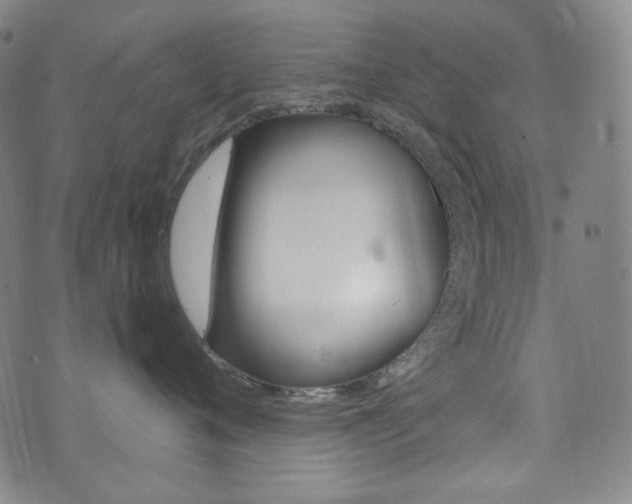 X0000072940720200607210907