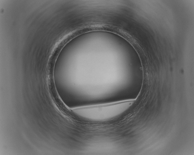 X0000072940728200607210906