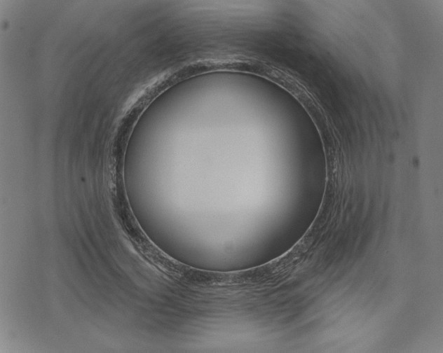 X0000072940732200607210906