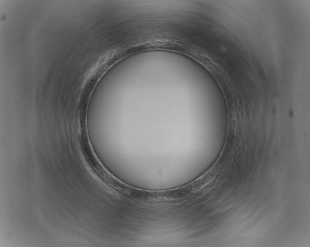 X0000072940734200607210906