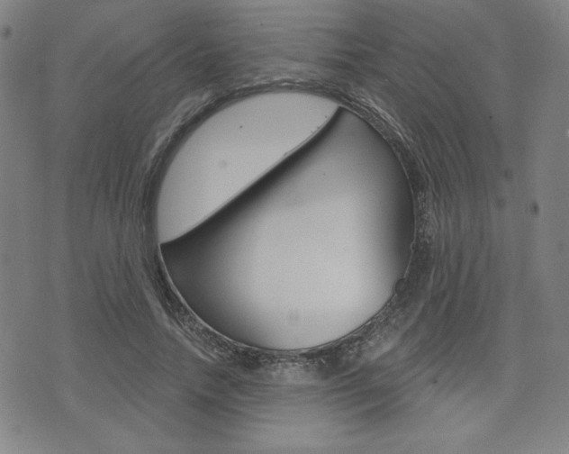 X0000072940738200607210907